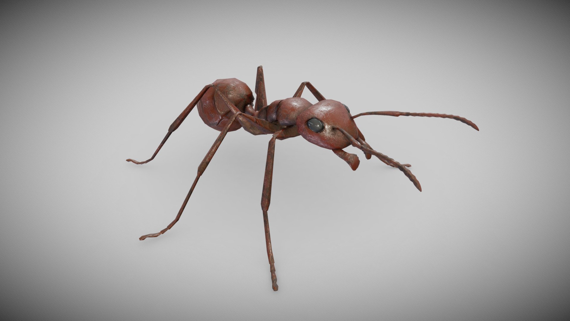 An ant is a small, social insect that typically lives in organized colonies and is known for its strong work ethic and ability to lift objects many times its own body weight 3d model