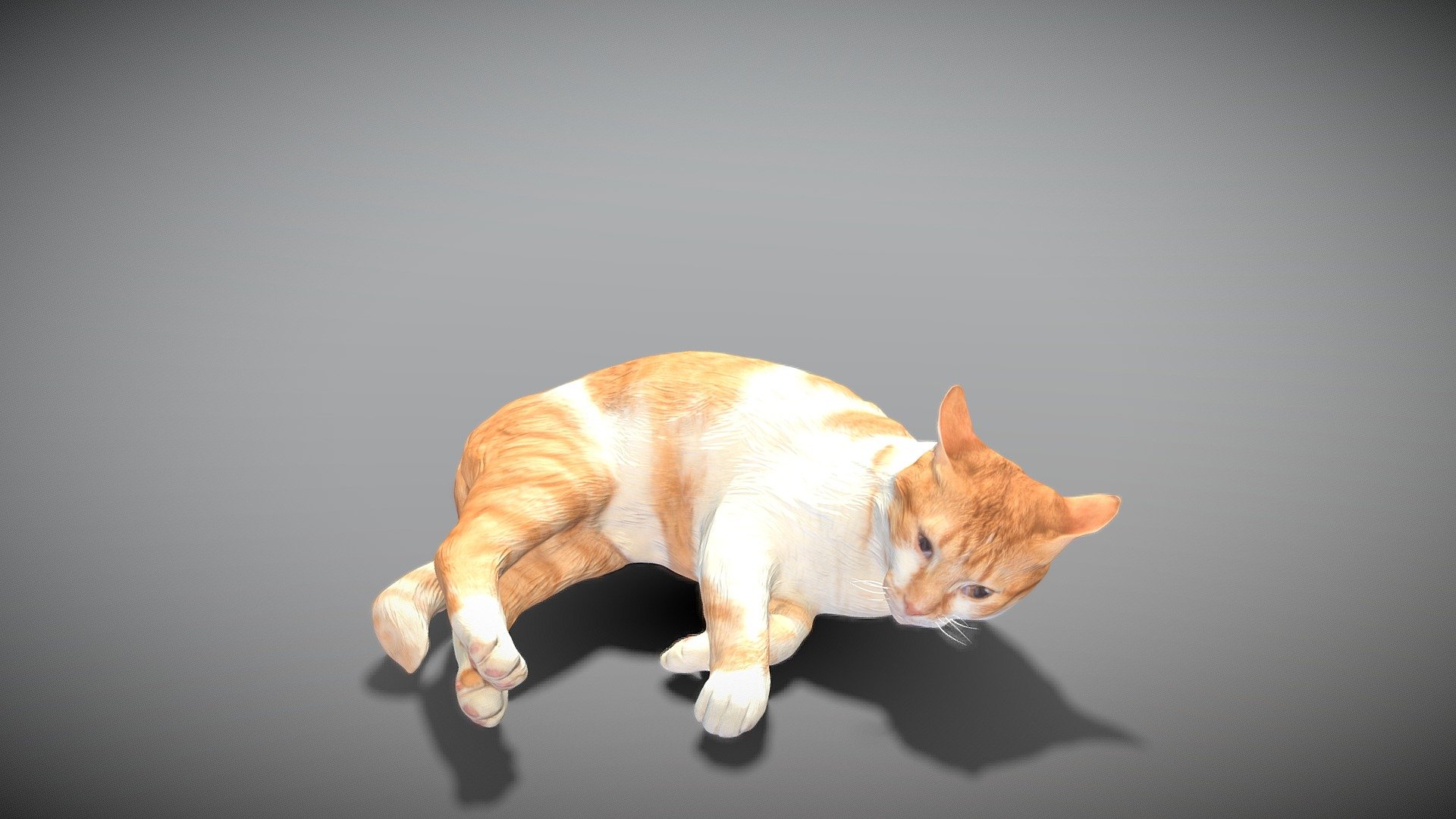 This is a true sized and highly detailed model of a young charming red cat. It will add life and coziness to any architectural visualisation of houses, playgrounds, parques, urban landscapes, etc. This model is suitable for game engine integration, VR/AR content, etc.

Technical specifications:




digital double 3d scan model

150k &amp; 30k triangles | double triangulated

high-poly model (.ztl tool with 5 subdivisions) clean and retopologized automatically via ZRemesher

sufficiently clean

PBR textures 8K resolution: Diffuse, Normal, Specular maps

non-overlapping UV map

no extra plugins are required for this model

Download package includes a Cinema 4D project file with Redshift shader, OBJ, FBX, STL files, which are applicable for 3ds Max, Maya, Unreal Engine, Unity, Blender, etc. All the textures you will find in the “Tex” folder, included into the main archive.

3D EVERYTHING

Stand with Ukraine! - Lying cat 43 - Buy Royalty Free 3D model by deep3dstudio 3d model