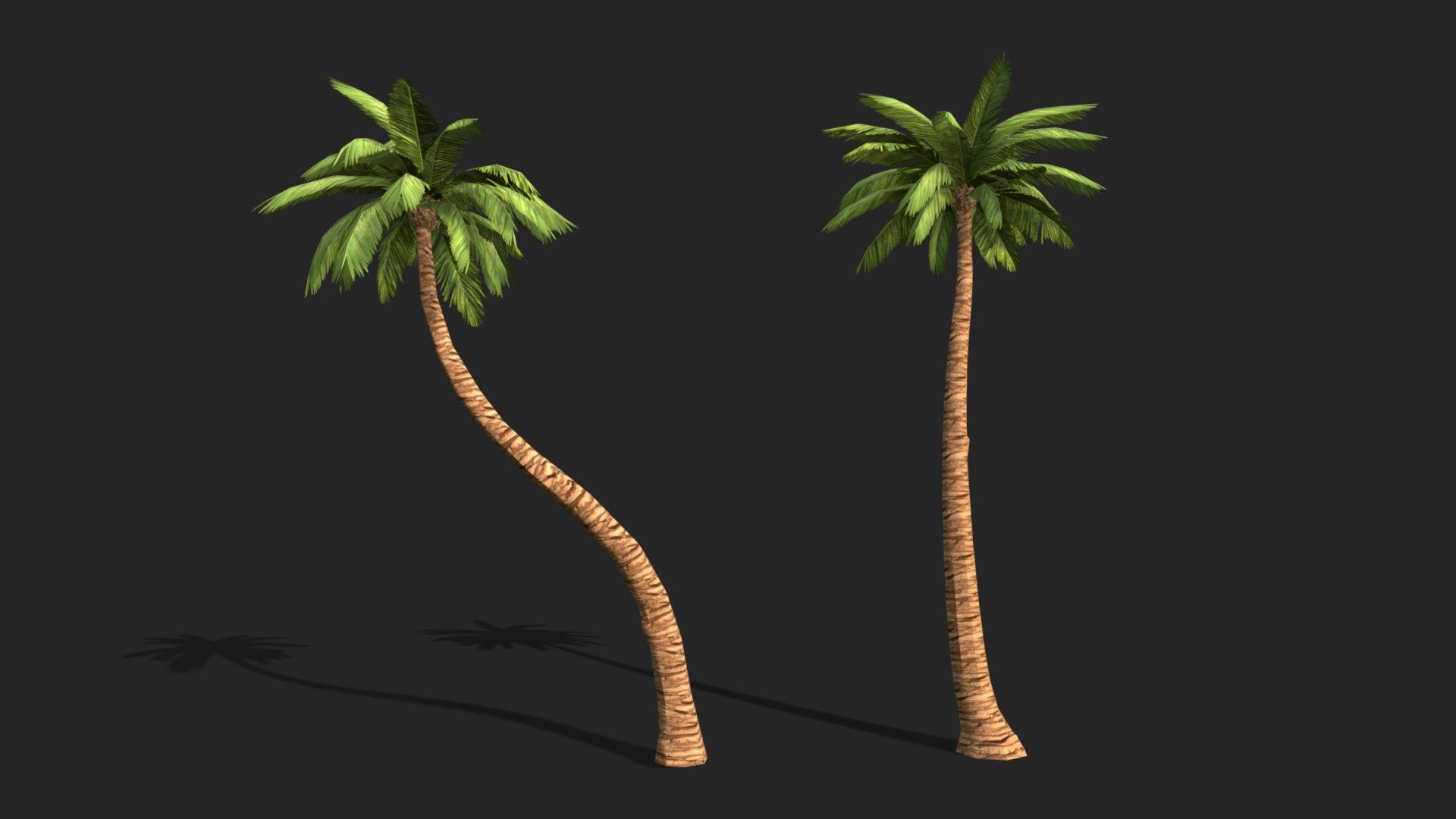 Elevate your game projects or rendering scenes with our high-quality 3D Palm Tree models. Designed with attention to detail, these models are perfect for creating stunningly realistic environments. With optimized performance and seamless integration, our Palm Tree models are a must-have for any game or rendering project. Invest in them today and take your work to new heights!

Technical Details:

Straight Palm LOD 1:

- Polygons: 1018

- Vertices:1104

- Mesh: 2

Straight Palm LOD 2:

- Polygons: 316

- Vertices: 882

- Mesh: 2

Straight Palm LOD 3:

- Polygons: 268

- Vertices: 678

- Mesh: 2

Curved Palm LOD 1:

- Polygons: 940

- Vertices: 1039

- Mesh: 2

Curved Palm LOD 2:

- Polygons: 322

- Vertices: 830

-Mesh: 2

Curved Palm LOD 3:

- Polygons: 227

- Vertices: 555

- Mesh: 2

Textures:

UV mapping: Yes, overlapping
Types of materials and texture maps: Leaf Diffuse and Bump texture. Trunk Diffuse and Bump texture.
Textures have PNG extension, 512 x 512 resolution 3d model