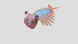 Anomalocaris canadensis trilobite, pet, paleontology, anomalocaris, animal, animation, anomalocais