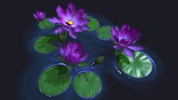 Waterlily plant, flower, low-poly-model, waterlily, lowpoly, waterlillies