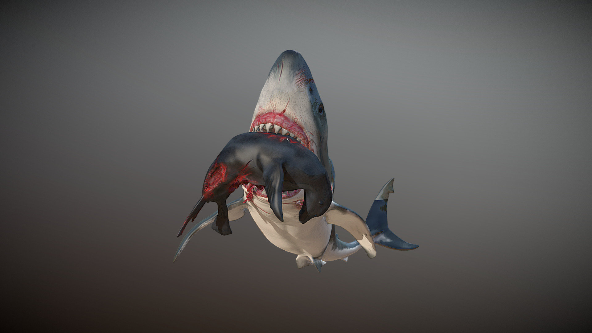 Showcase of my new Great White 3D model, attacking a seal in this iteration.
Model created in ZBrush and rigged for Maya/DAZ Studio/UE4, with several morphs and poses available.
Make sure to set the viewer in HD textures mode 3d model