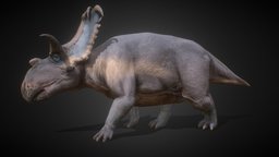 Kosmoceratops animals, realistic, dinosaurs, reptile, extinct, ceratopsian, paleoart, walkcycle, animal, animated, prehistoric, dinosaur, dino, kosmoceratops