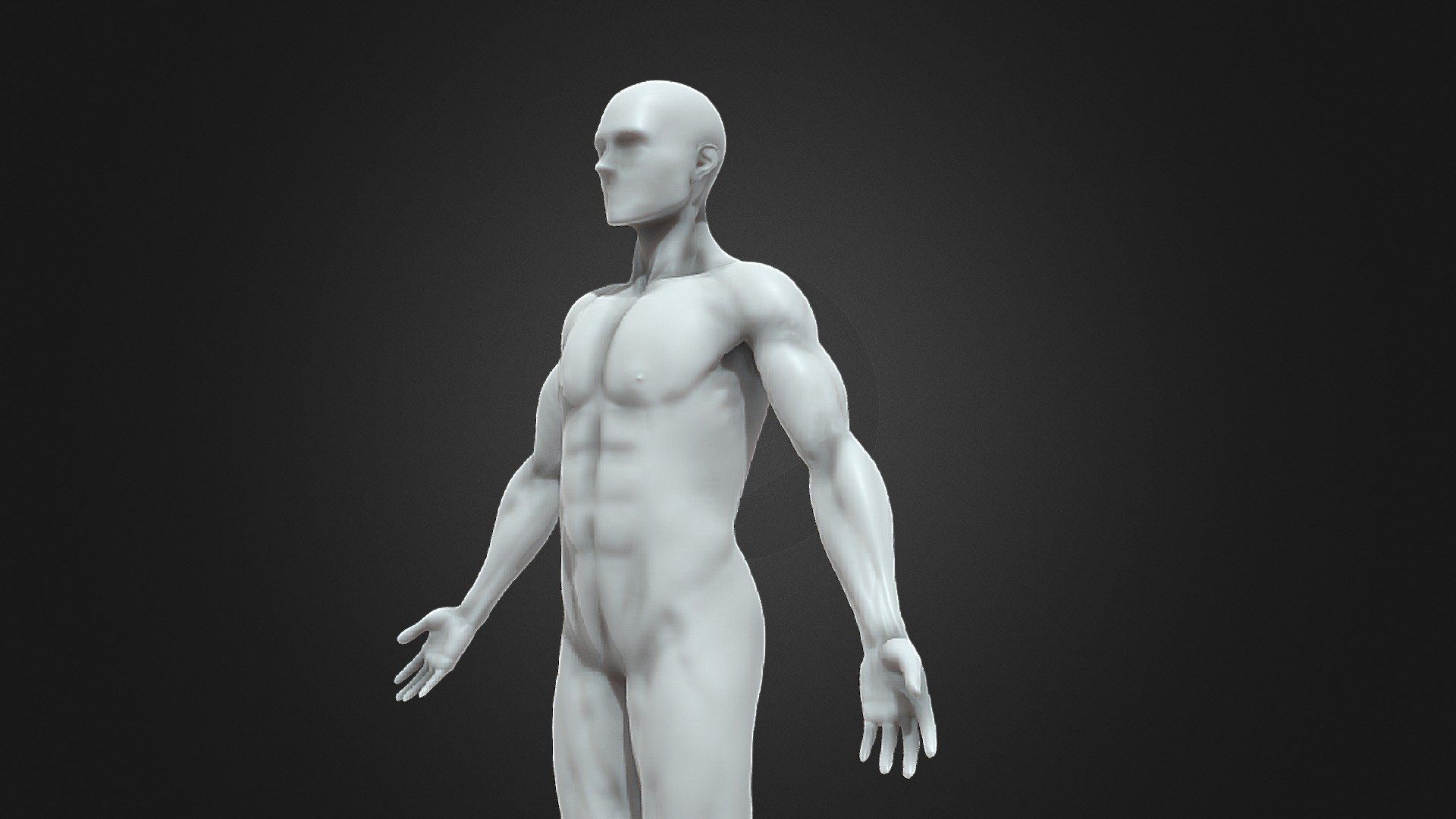 An High Poly base human mesh useful for renderings.
The model is rigged and has many target morphs for muscle control 3d model