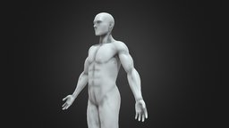 Human Male Mannequin anatomy, mannequin, persona, men, uomo, anatomy-reference, anatomy-human, man, test, human, male, person
