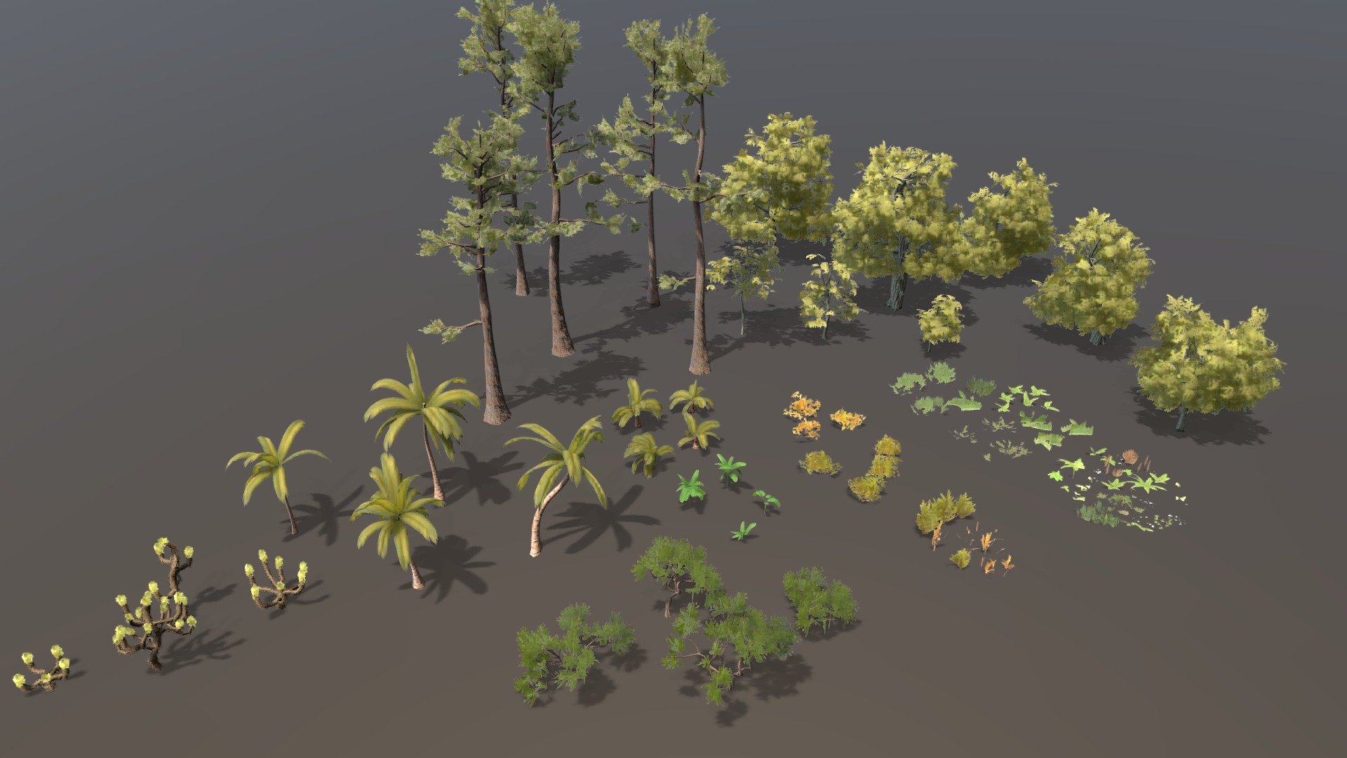 Oak trees, pines, banana plants, acacia, joshua, curly and coconut palms, bunch of grass and shrubs and sticks - Tropical Island foliage - Buy Royalty Free 3D model by FAXCORP 3d model