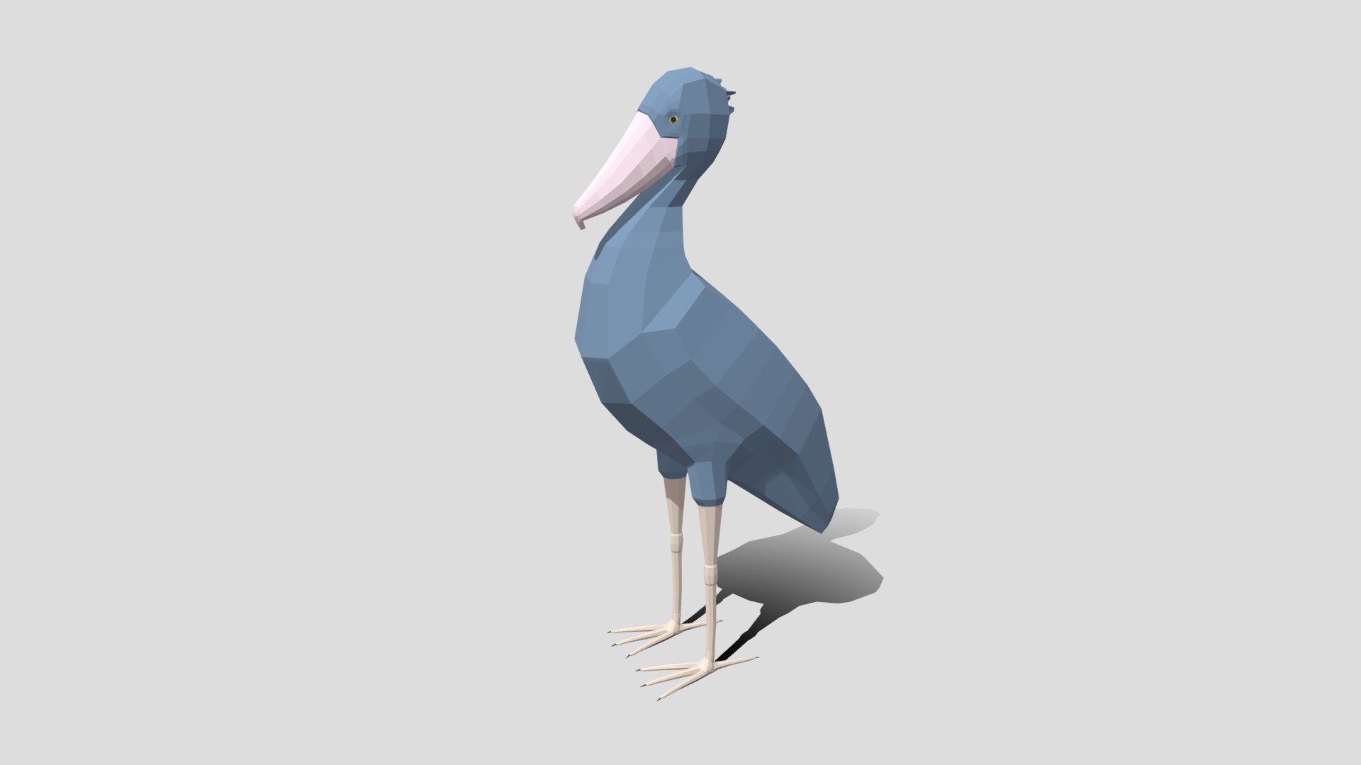 This is a low poly 3D model of a Shoebill Stork. The low poly strork was modeled and prepared for low-poly style renderings, background, general CG visualization presented as 2 meshes with quads and few tris. The eyes are seperate object.

Verts : 1.725 Faces: 1.740.

The 3D model have simple materials with diffuse colors.

No ring, maps and no UVW mapping is available.

The original file was created in blender. You will receive a  OBJ, FBX, blend, DAE, Stl, glTF.

All preview images were rendered with Blender Cycles. Product is ready to render out-of-the-box. Please note that the lights, cameras, and background is only included in the .blend file. The model is clean and alone in the other provided files, centred at origin and has real-world scale 3d model