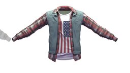 Cartoon High Poly Subdivision American Flag Vest