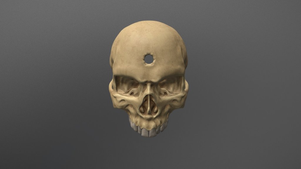 Skull created for the logo of the student project Bullet Realm - Bullet Realm Skull - 3D model by Leonel Arturo Quiñones Tracy (@LeonelAQT) 3d model