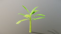 Low Poly Banana Tree tree, bananas, nature, lowpolyart, low-poly-model, low-poly, 3d, gameasset, gameready