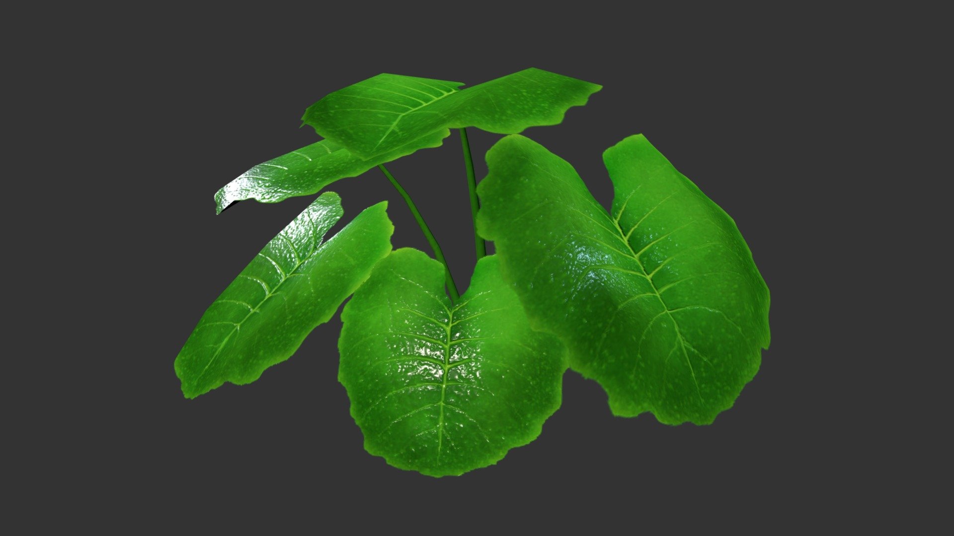 Nature Assets.
Looping Wind Animation 3d model