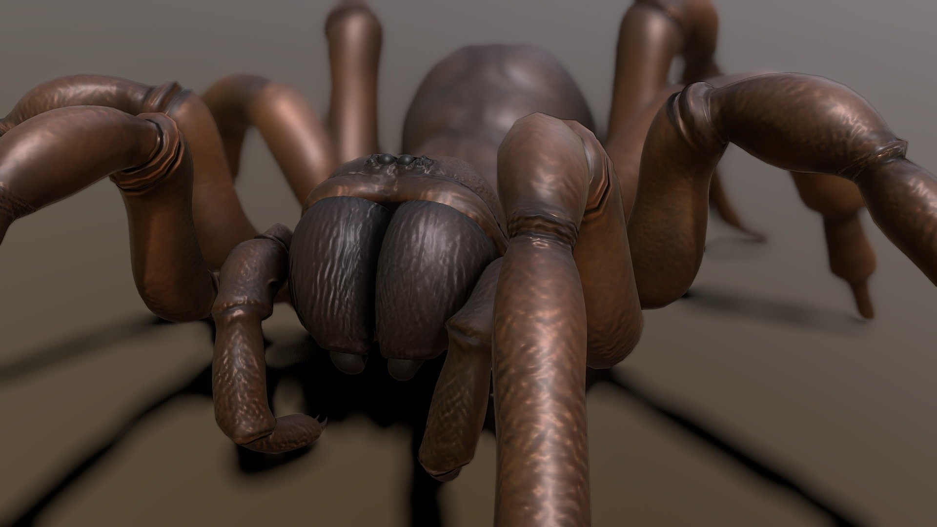 Ctenizidae is a small family of mygalomorph spiders that construct burrows with a cork-like trapdoor made of soil, vegetation, and silk.

Define by Google - Trap Door Spider - Download Free 3D model by ArachnoBoy (@vang807) 3d model