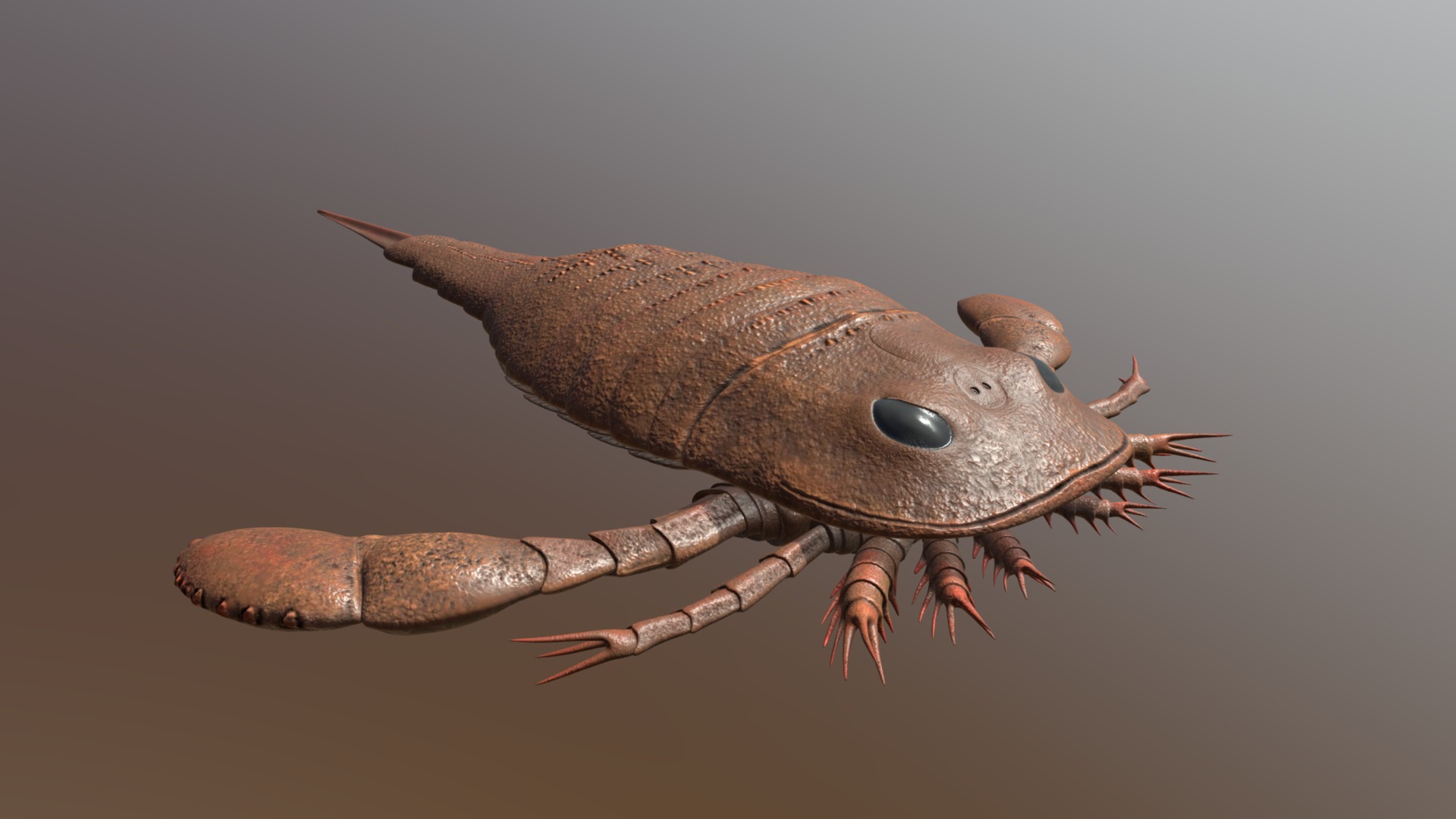 Eurypterus is an extinct genus of eurypterid 3d model