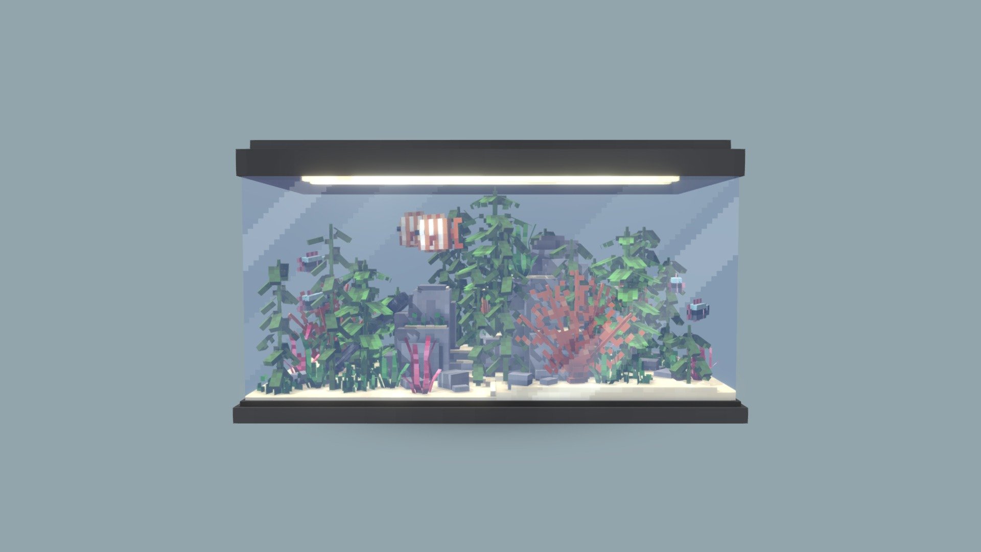It's a simple lowpoly aquarium. It contains two different species of fish circulating between vegetation and scenery.

Twitter: twitter.com/_Owcee

This model's tweet: twitter.com/_Owcee/status/1570830012672253954

Modeling and painting on blockbench 3d model