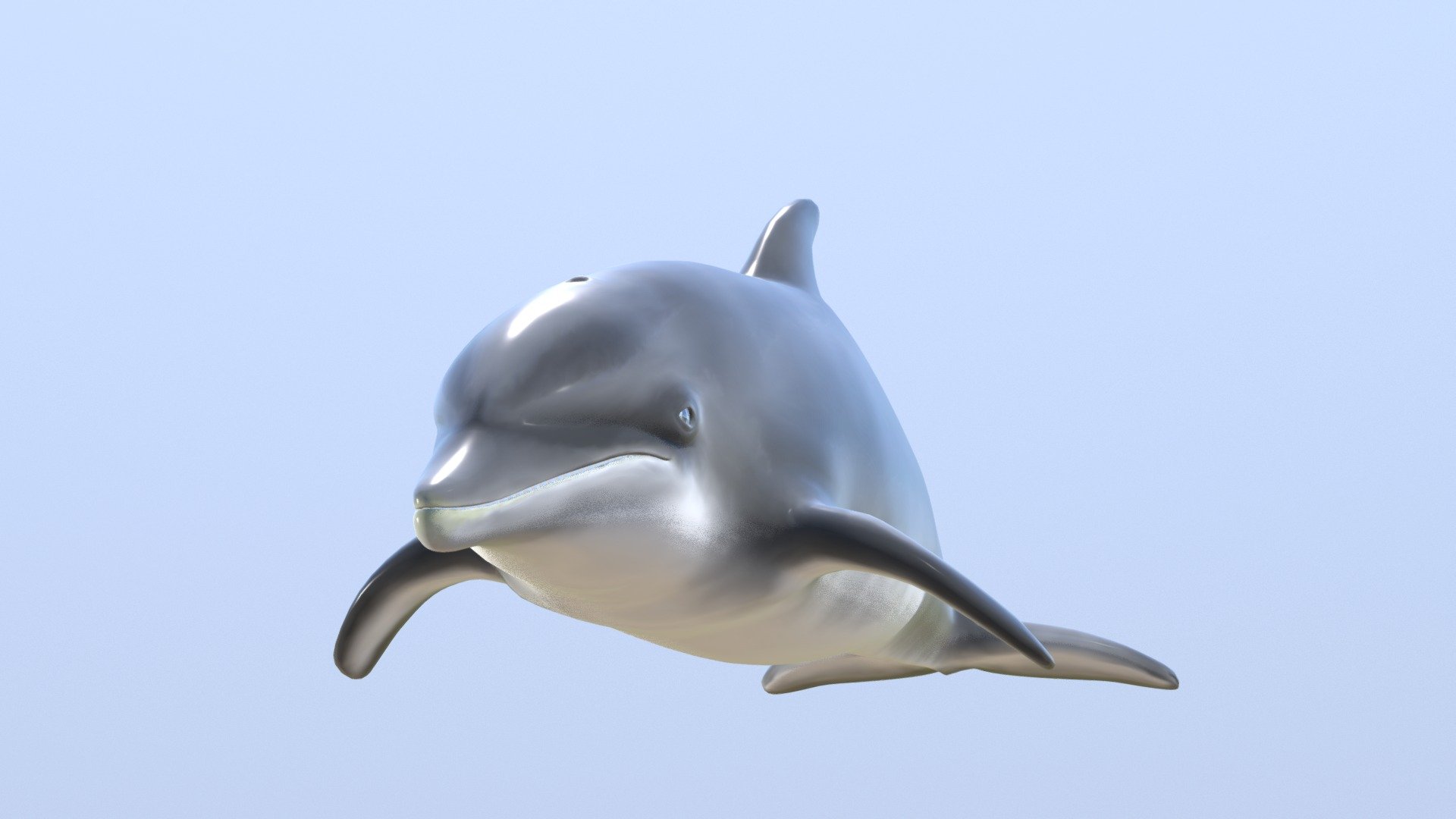 This is a model of a Bottlenose Dolphin highly realistic for close ups or high resolution renders 3d model