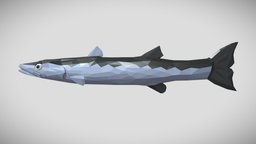 [Low Poly] Barracuda fish, fishing, ocean, barracuda, animals-cute, barracuda-fish, lowpoly, low, poly, animal, animation, animated, rigged, sea
