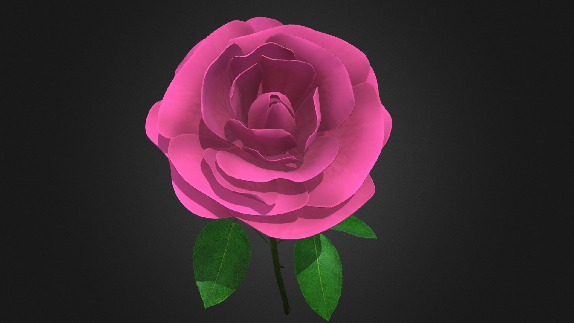 pink roses represent sweetness, femininity, appreciation, and admiration.
Pink roses represent innocent romantic love, and make a good choice for teen romance or the early phases of a romantic relationship. Pink roses represent a beautiful, fresh love and a pureness of emotion - Pink Rose - Buy Royalty Free 3D model by greenlive 3d model