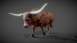 Texas Longhorn by CMW oxford, bull, ox, mammel, creature, zbrush, animal, texaslonghorn