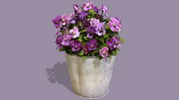 Viola Cornuta plant plant, plants, flower, flowers, viola, photogrammetry, 3dscan, plant-scan, flower-scan, viola-cornuta, horned-violet, horned-pansy