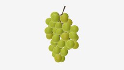 Grapes 06 green, food, fruit, organic, fresh, juice, grape, juicy, ripe, harvest, 3d, pbr