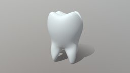 Molar (Tooth)