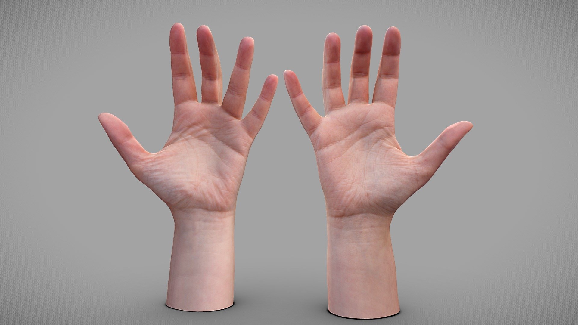 41 years old female hands.

Photos taken with A7Riv + 20mm Sony FE

Processed with Metashape + Blender + Wrap3 - Female hands - Buy Royalty Free 3D model by Lassi Kaukonen (@thesidekick) 3d model