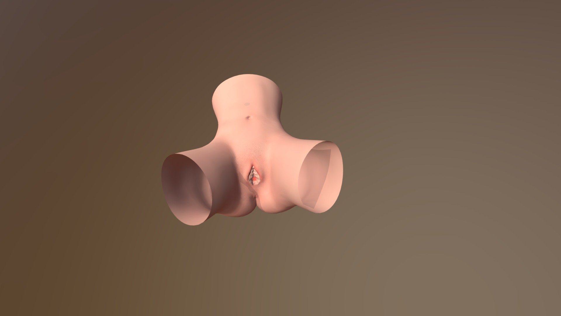 image view-




 - vagina anatomy - 3D model by shivam_sarraf (@shivamneet07) 3d model