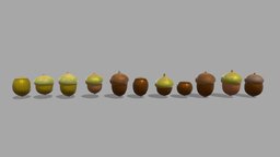 acorn tree, plant, food, nut, nature, acorn