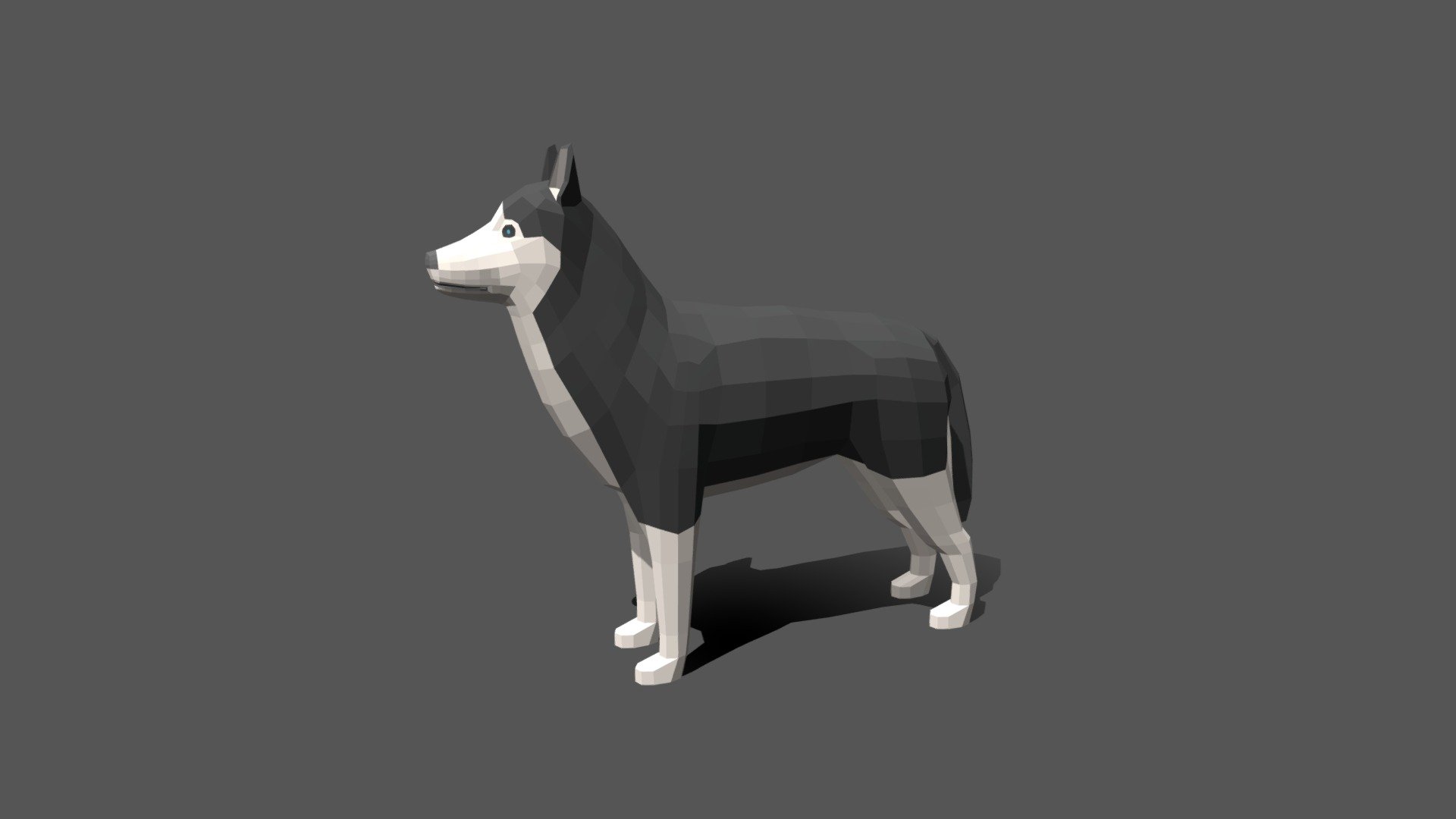 This is a low poly 3D model of a Husky. The low poly dog was modeled and prepared for low-poly style renderings, background, general CG visualization presented as a mesh with quads only.

Verts : 930 Faces: 928

The 3D model have simple materials with diffuse colors.

No ring, maps and no UVW mapping is available.

The original file was created in blender. You will receive a 3DS, OBJ, FBX, blend, DAE, Stl.

All preview images were rendered with Blender Cycles. Product is ready to render out-of-the-box. Please note that the lights, cameras, and background is only included in the .blend file. The model is clean and alone in the other provided files, centred at origin and has real-world scale 3d model