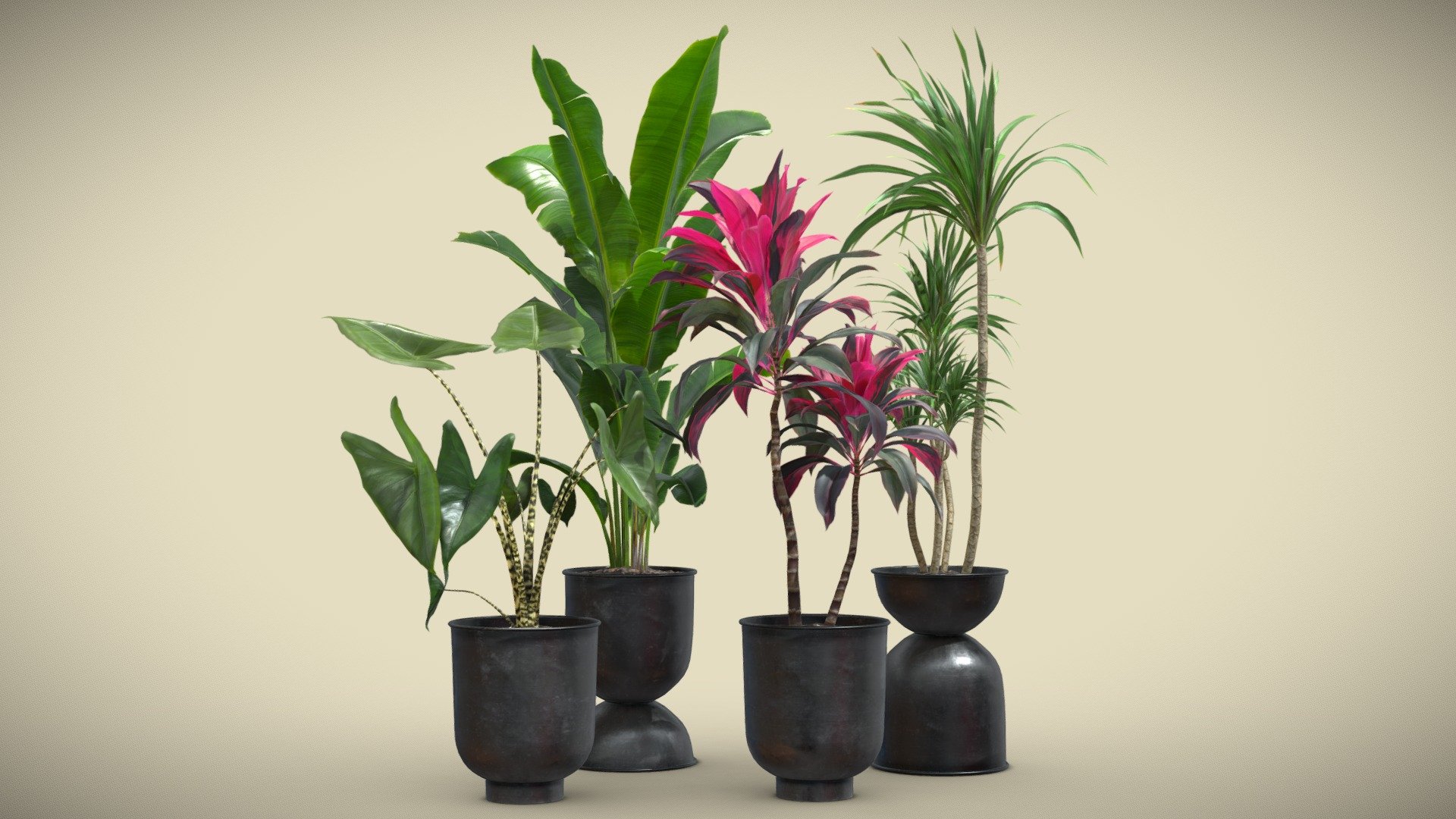 Indoor Plants Pack 40

This selection of indoor exotic plants will provide a nice touch to your interior renders.
Models are optimized to be subdivided for more definition. 




Alocasia Zebrina

Strelitzia Reginae

Cordyline Fructicosa

Dracaena Marginata

4k Textures




Vertices  46 151

Polygons  39 688

Triangles 78 274
 - Indoor Plants Pack 40 - Buy Royalty Free 3D model by AllQuad 3d model