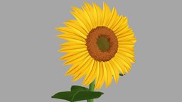 Cartoon-Styles Sunflower plant, plants, flower, flowers, sunflower