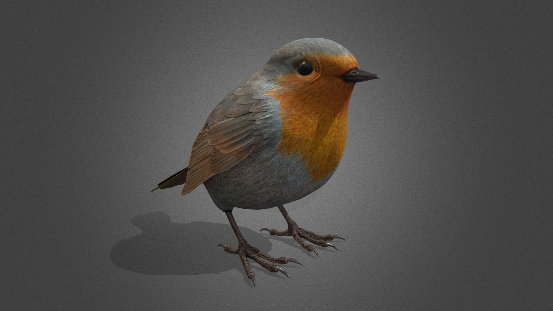 High detailed bird - High detailed bird - Download Free 3D model by Al-Deezel (@Al-dezel) 3d model