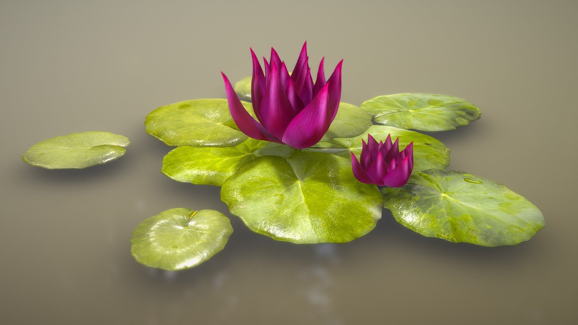 Lily Pads - Lily Pads - Buy Royalty Free 3D model by 3Dee (@mellydeeis) 3d model