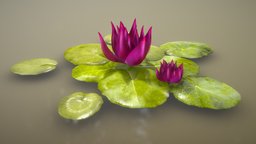 Lily Pads scene, forest, cute, flower, scenery, hd, prop, gameprop, new, epic, pad, pink, pond, leaf, macro, ponds, realistic, nature, lily, background, realism, game-prop, game-asset, lilypad, pads, movieprop, gaming-asset, lillypad, asset, leaves, 2023, lillypads, gamingasset, 3dee, gaming-prop, movieasset, gamingprop, lilypond, lillypond, "frogpond", "lily-pads"