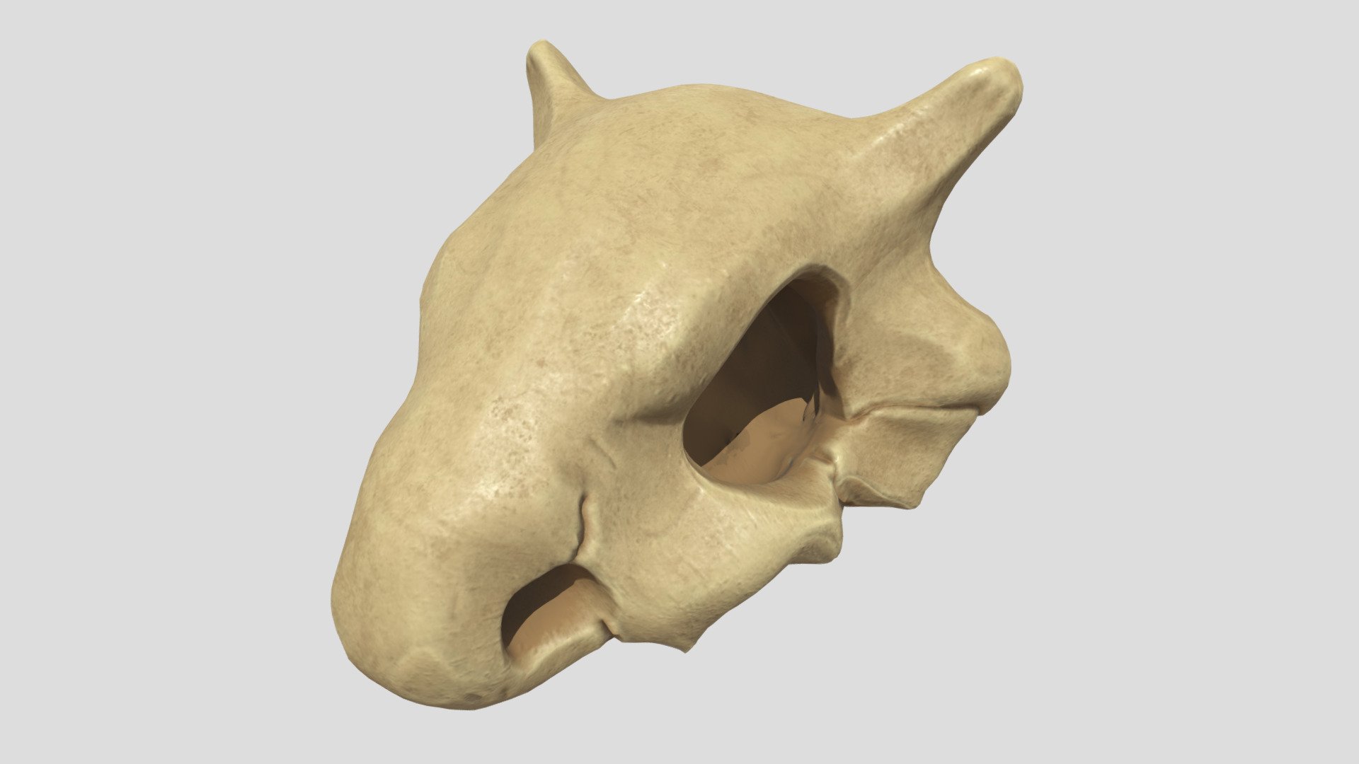 first version - Cubone mom skull - 3D model by ivan alarcon (@capivan) 3d model