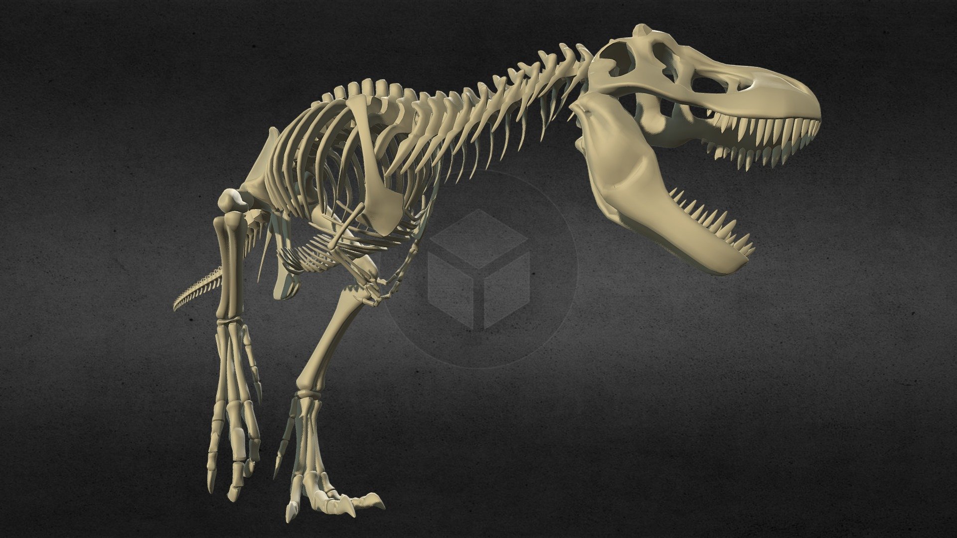 Tyrannosaurus rex dragon bone - Tyrannosaurus rex dragon bone - 3D model by llllline 3d model
