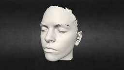 3D Scanned Human Face 1 face, 3d-scan, 3dscanning, facescan, humanface