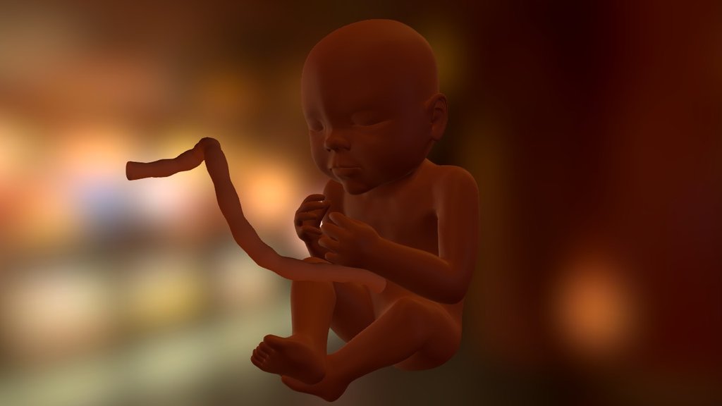 Not rigged nor textured baby model 3d model