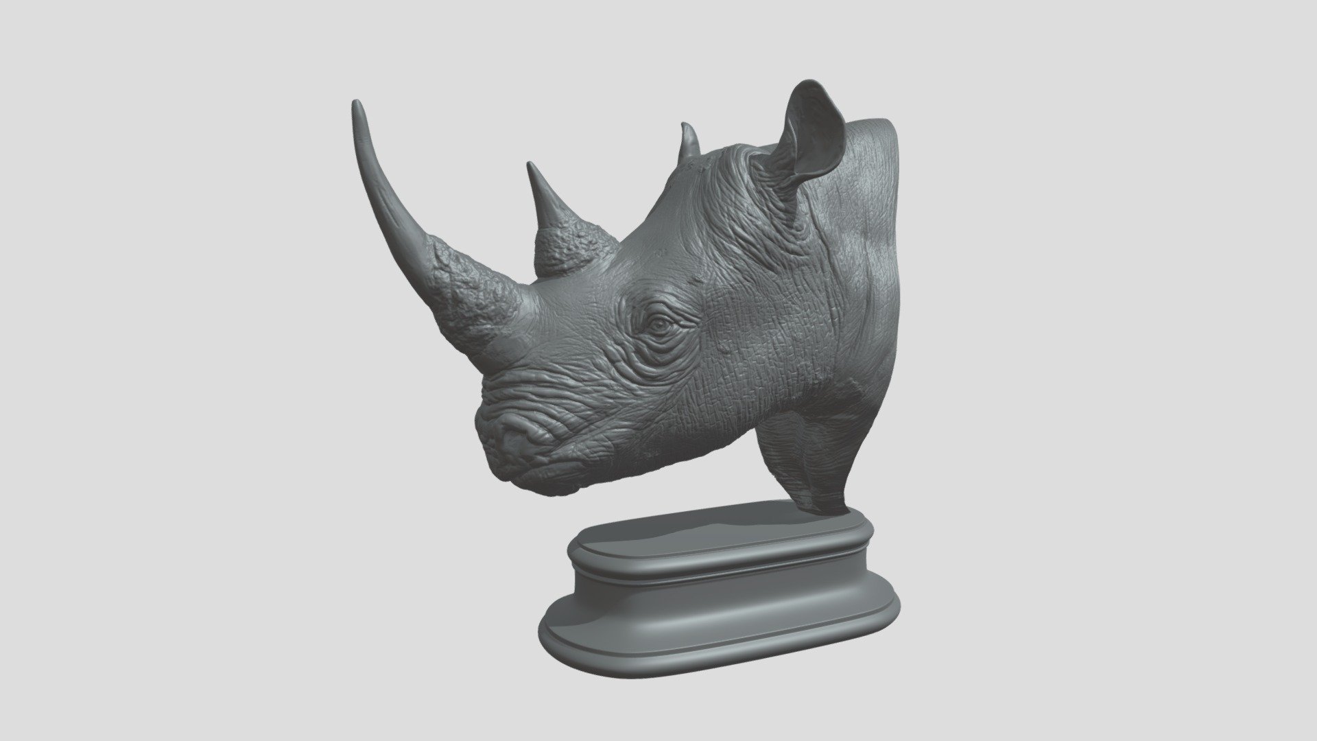 Rhinoceros Head High Poly, sculpted in ZBrush 2021.

Ideal for printing 3D

Compositions

Decoration

Motion graphics - Destruction of solids

Etc....

Does not contain UVs Maps

Piece with 15 cm

Files :FBX

Does not contain lighting

I hope it will be useful in your project !

Thank you for visiting my models !! - Rhinoceros - Buy Royalty Free 3D model by aleexstudios 3d model