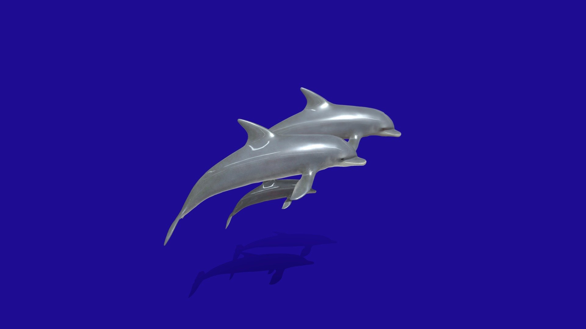 Hello, I hope you like and comment and if you want to, follow me! Everyday, I will be making 3D models of sea animals and other stuff. As a result, please follow me if you like marine animals - The Dolphin Family - Download Free 3D model by FIELDFLY3R 3d model