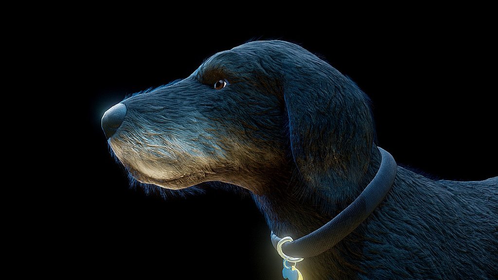 Warning Large Textures! Switch to HD mode, button in the lower right hand corner.

Everyone's favorite labradoodle Riley, sculpted in zbrush &amp; modeled in 3dsmax 3d model