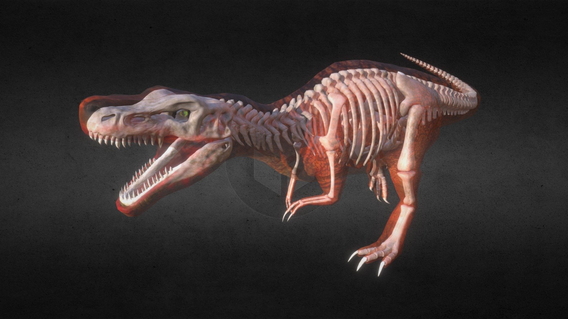 Nemoriko´s : T-Rex Bones / Tyrannosaurus Rex Skelleton

Copyright:
(c) by nemoriko.de

Support my work on: 
PayPal.Me/Nemoriko

My other models:
https://sketchfab.com/nemoriko/models - Nemoriko´s : Tyrannosaurus Skeleton  t-rex bones - Buy Royalty Free 3D model by Nemoriko 3d model