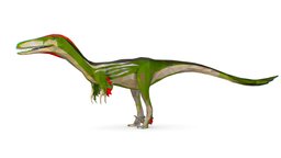 Dinosaur Austro Lowpoly Art Style Animal t-rex, beast, ancient, style, trex, polygonal, teeth, mammal, predator, diplodocus, claw, scary, spinosaurus, triceratops, lowpolygon, reptile, stegosaurus, trexdinosaur, allosaurus, iguanodon, pterodactyl, ankylosaurus, dilophosaurus, carnotaurus, jurassicworld, parasaurolophus, raptors, chopped, lowpolygonart, polygonal-art, art, lowpoly, animal, monster, dinosaur, austro, triangularstyle