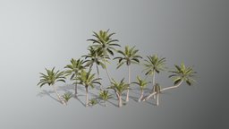 Palm tree, palm, foliage, nature, palmtree-3dmodel, palm-tree, coconut-tree, lowpoly, gameready