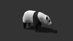 Giant Panda bear, panda, blackandwhite, dnm, giantpanda, digitalnaturemuseum, blender, animal, textured