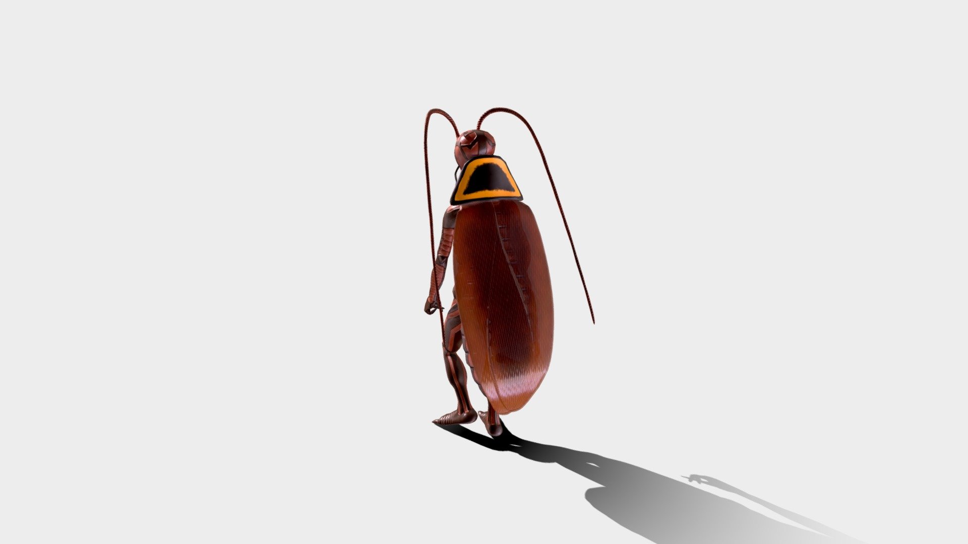 A cockroach is still scary when it flies and it’s scariest if it looks like a man and can walk like a gangster.

This model is designed as a Cockroach but a unique one. Imagine a cockroach having an ability to walk like a man and having the same scary look that it already has. Same flying abilities and the sharp look. Brown in color and two long thread like antennae which just makes it look like a more dangerous creature 3d model