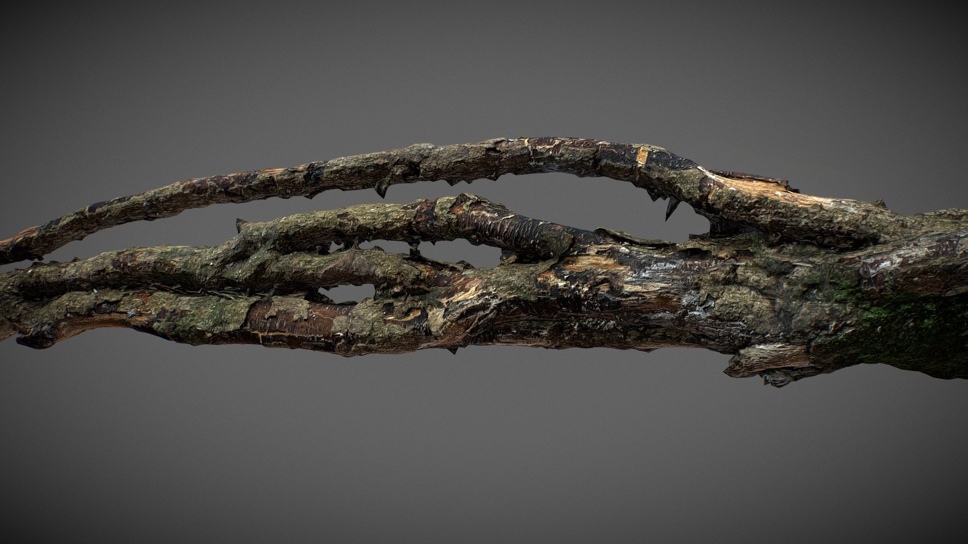 This model is perfect for game, 3D printing and film making.



Aspect:

dride texture

Scale, about 80 cm  long 

Included 8K textures
 - Tree Root 01 - Buy Royalty Free 3D model by optimuscan 3d model