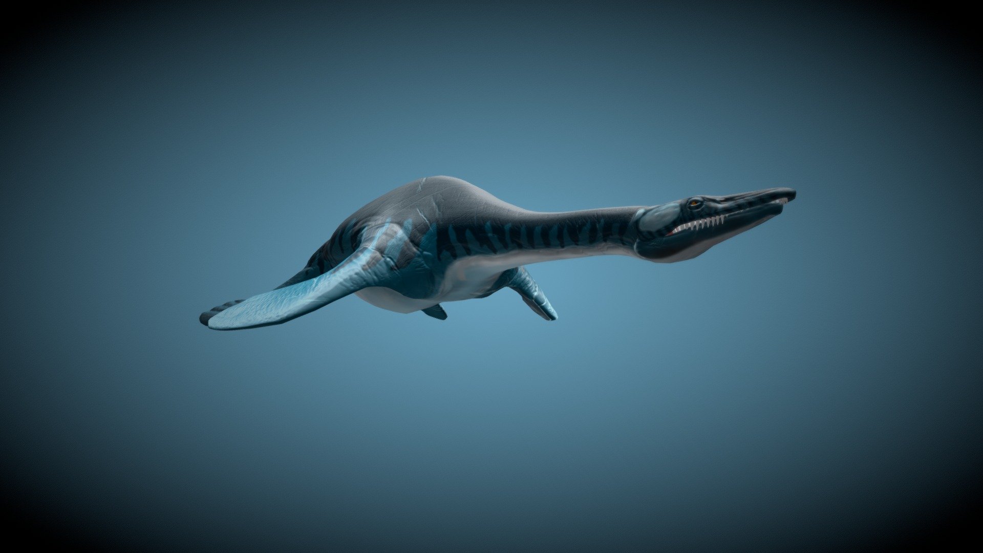 The pistosaur was a seareptile and in  not part of the plesiosaur clade. This model is far from perfect, but still worth to share. I took a lot of time in sculpting the thing. I have got 2k normals for the body group, but sketchfab is getting slow when I upload them 3d model