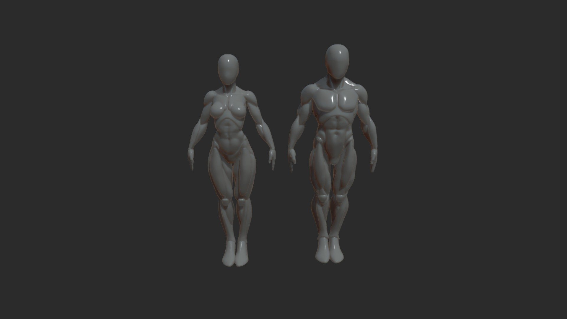 A pack of 3D models that includes both male and female anatomic basemeshes is a collection of digital representations of the human body in its basic form, designed for use in 3D modeling, animation, game development, and other digital art projects. The male and female basemeshes are created to accurately depict the anatomical features, proportions, and body structures of each gender, with a focus on realistic muscle definition and detail. These basemeshes serve as a starting point for creating more complex and detailed 3D models of male and female characters. They can be customized to fit specific project needs, such as adjusting the size, shape, or pose of the character 3d model