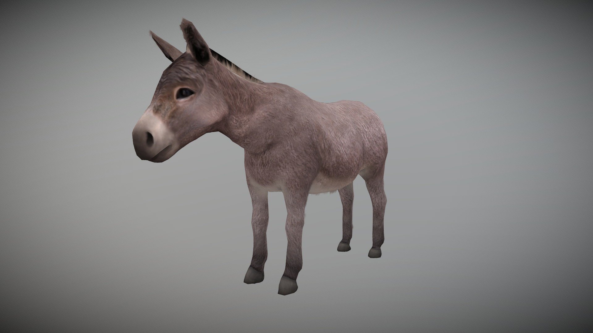 WATCH = https://youtu.be/0tD8L2FPuzU

Donkey 3d Model

PACKAGE INCLUDE


High quality polygonal model, correctly scaled for an accurate representation of the original object.
Model is built to real-world scale.
Many different format like blender, fbx, obj, iclone, dae
No additional plugin is needed to open the model.
3d print ready
Ready for animation
Loopable seperate Animations
High Quality materials and textures
Triangles = 3144
Vertices = 1680
Edges = 4813
Faces = 3144

ANIMATIONS


Idle
Walk
Eat

3D PRINT POSES ( STL  OBJ )


STAND
LOOK SIDE 1
LOOK SIDE 2
WALK 1
WALK 2
EAT
 - DONKEY ANIMATED - Buy Royalty Free 3D model by Bilal Creation Production (@bilalcreation) 3d model